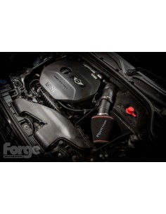 Mini Cooper 2,0T JCW F56 Forge Motorsport Insugs kit (till årsmodell 2018) 2