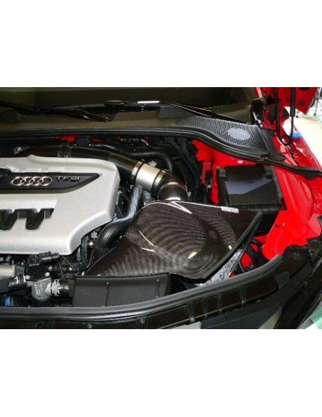 Audi TTS 2,0TFSi 8J GruppeM Kolfiber insugskit