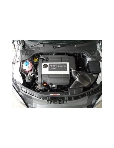 Audi S3 8P GruppeM Kolfiber insugskit