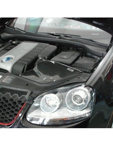 VW Golf 2,0TFSi GTi mk5 GruppeM Kolfiber insugskit