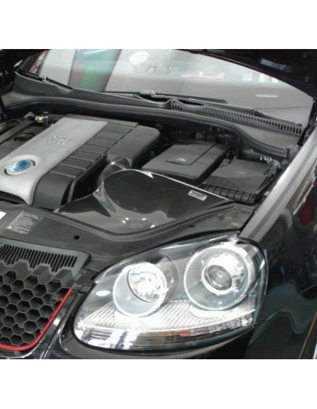 VW Golf 2,0TFSi GTi mk5 GruppeM Kolfiber insugskit