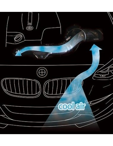 BMW M135i N55 F20 GruppeM Kolfiber insugskit