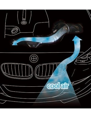 BMW M235i N55 F22 GruppeM Kolfiber insugskit