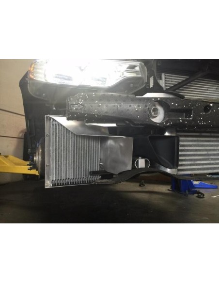 BMW M2 3,0T N55 F87 Evolution Racewerks Sports Series Oljekylar kit med aluminium styrning