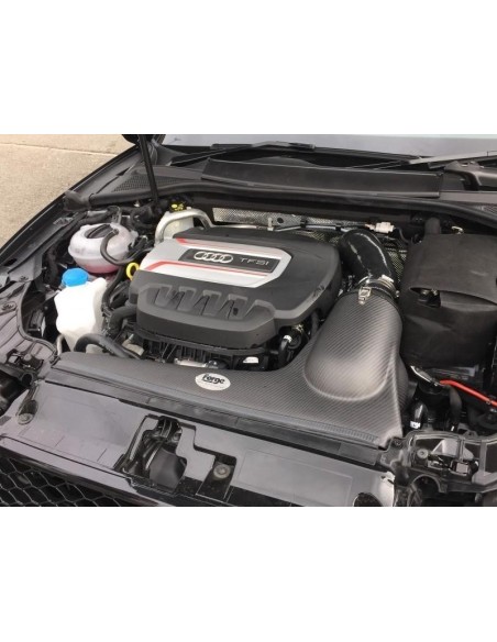 Audi S3 8V Forge Motorsport Kolfiber insugskit med svart silicon slang