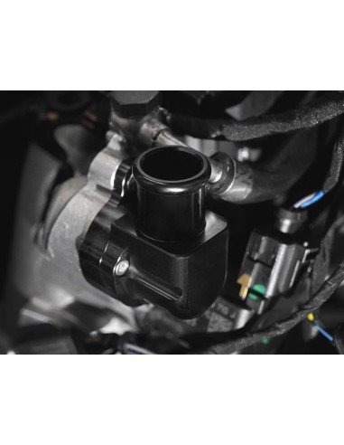 Audi TTRS 2,5TFSi OPF 8S Integrated Engineering Kolfiber Big Pipe Insugskit