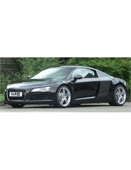 Audi R8 v8 mk1 H&R sänkningssats sänker 15-20/25-30mm (Även för bilar med Magnetic ride control)