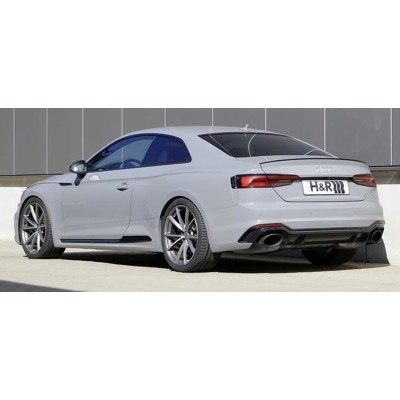 Audi RS5 Coupe B9 H&R sänkningssats sänker 20/20mm (Passar bilar med RS adaptiva sportdämpare)