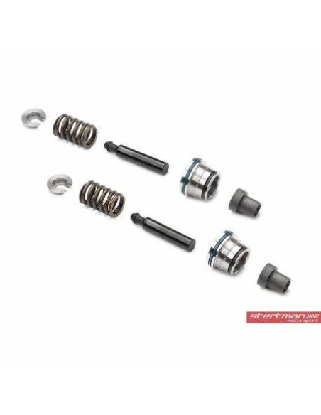 VAG 4,0TFSi V8 EA824 Integrated Engineering Högtryckspump till bränsle (uppgraderings kit till befintlig pump)