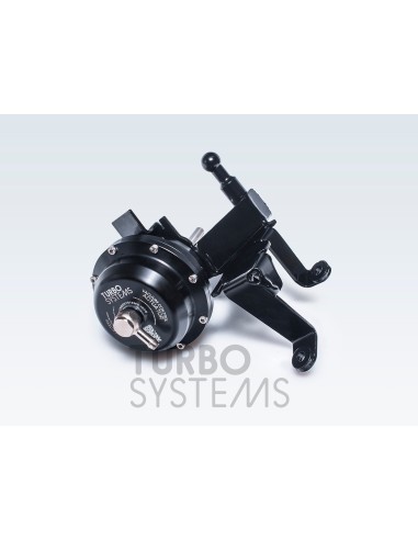 Audi 4,0TFSi V8 (gen 1) Turbo Systems uppgraderings wastegates för hög effekt