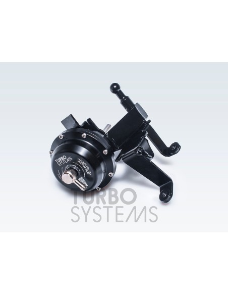 Audi 4,0TFSi V8 (gen 1) Turbo Systems uppgraderings wastegates för hög effekt