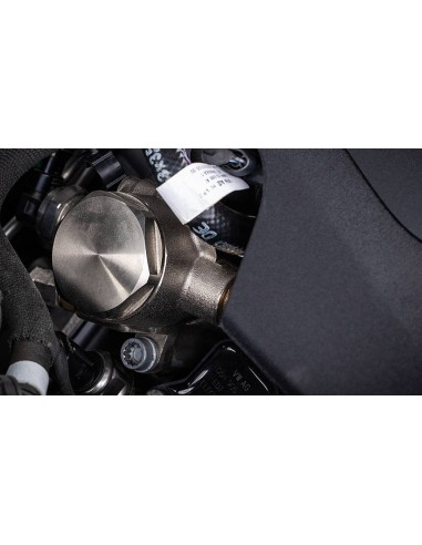 VAG RS5 2,9TFSi B9 EA839 Integrated Engineering Högtryckspump till bränsle (uppgraderings kit till befintlig pump)